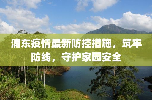 浦东疫情最新防控措施，筑牢防线，守护家园安全