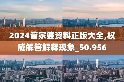 2024管家婆资料正版大全,权威解答解释现象_50.956