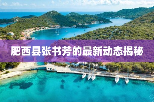 肥西县张书芳的最新动态揭秘