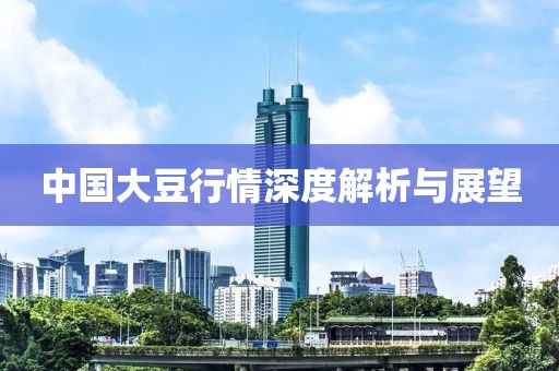 中国大豆行情深度解析与展望