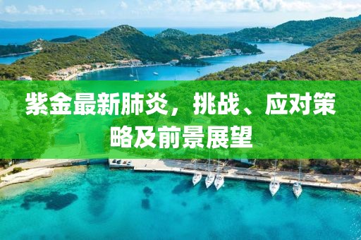 紫金最新肺炎，挑战、应对策略及前景展望