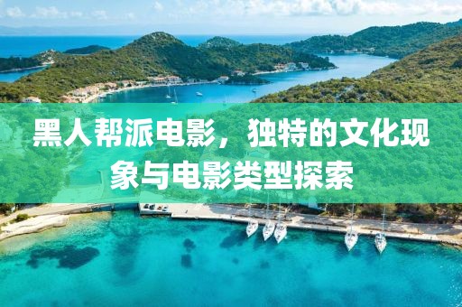 黑人帮派电影，独特的文化现象与电影类型探索