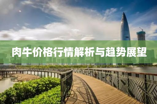 肉牛价格行情解析与趋势展望