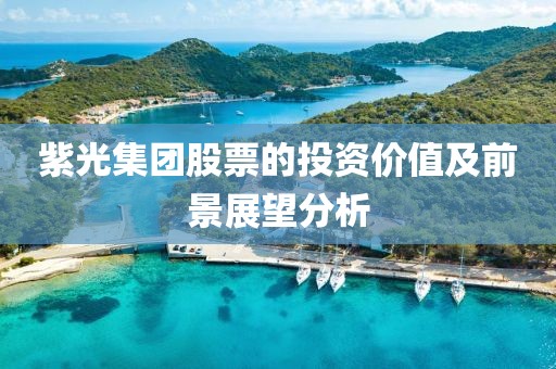 紫光集团股票的投资价值及前景展望分析