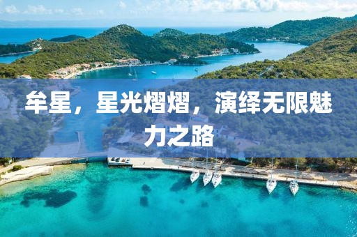 牟星，星光熠熠，演绎无限魅力之路