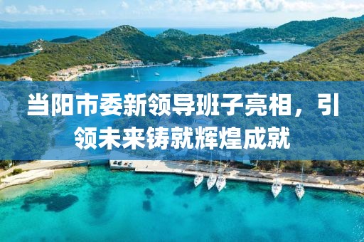 当阳市委新领导班子亮相，引领未来铸就辉煌成就