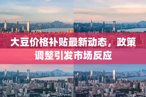 大豆价格补贴最新动态，政策调整引发市场反应