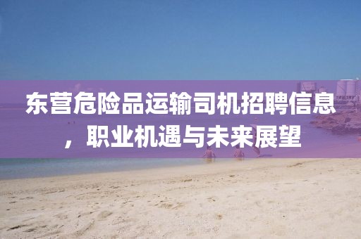 东营危险品运输司机招聘信息，职业机遇与未来展望