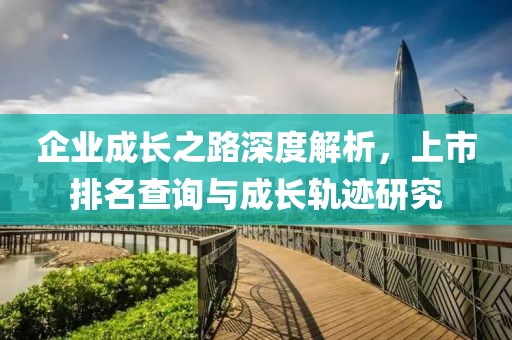 企业成长之路深度解析，上市排名查询与成长轨迹研究