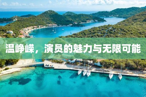 温峥嵘，演员的魅力与无限可能