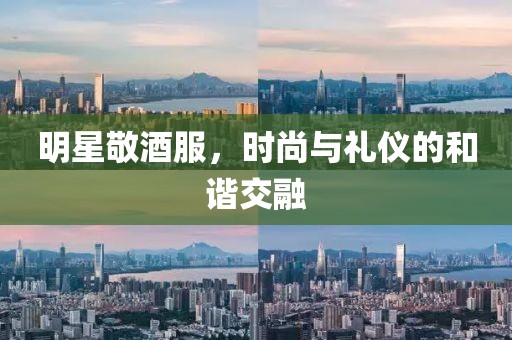 明星敬酒服，时尚与礼仪的和谐交融