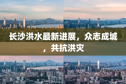 长沙洪水最新进展，众志成城，共抗洪灾