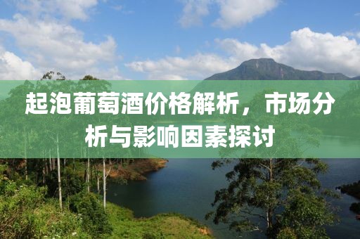 起泡葡萄酒价格解析，市场分析与影响因素探讨