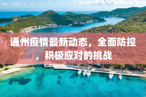 通州疫情最新动态，全面防控，积极应对的挑战