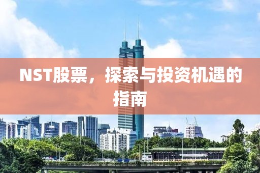 NST股票，探索与投资机遇的指南