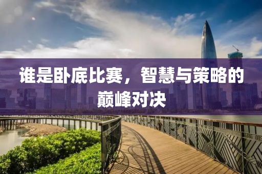 谁是卧底比赛，智慧与策略的巅峰对决