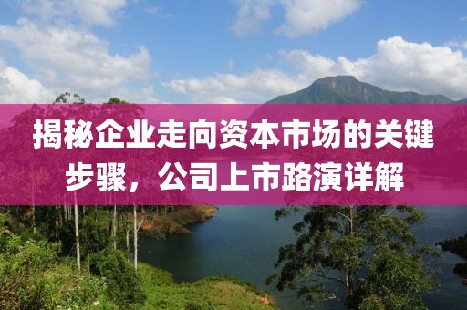 揭秘企业走向资本市场的关键步骤，公司上市路演详解