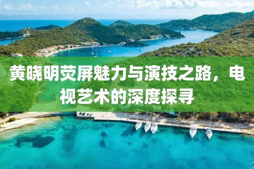 黄晓明荧屏魅力与演技之路，电视艺术的深度探寻