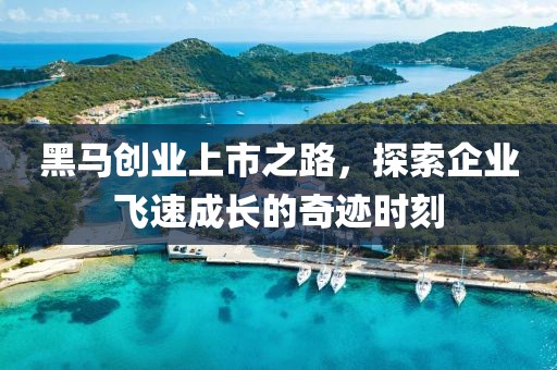 黑马创业上市之路，探索企业飞速成长的奇迹时刻