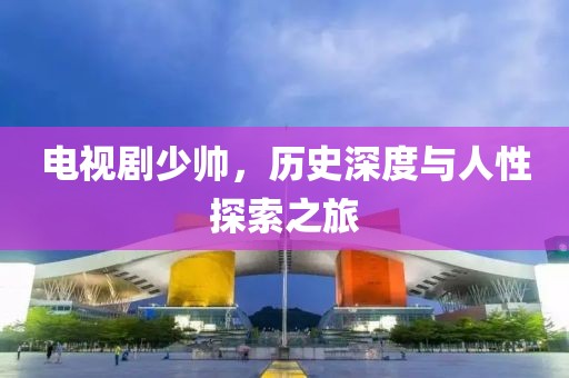 电视剧少帅，历史深度与人性探索之旅