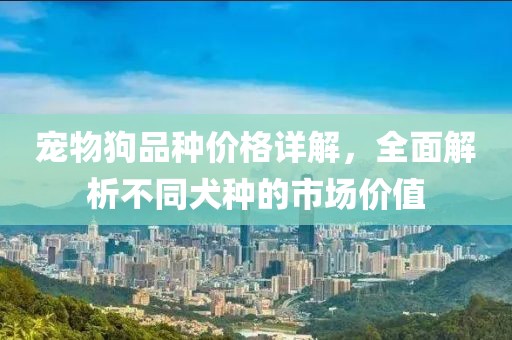 宠物狗品种价格详解，全面解析不同犬种的市场价值