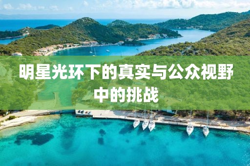明星光环下的真实与公众视野中的挑战