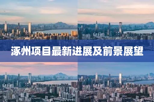 涿州项目最新进展及前景展望