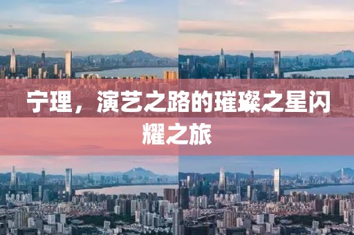 宁理，演艺之路的璀璨之星闪耀之旅