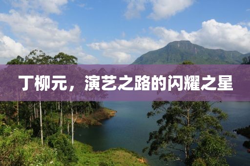 丁柳元，演艺之路的闪耀之星