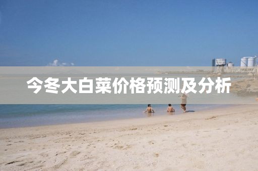 今冬大白菜价格预测及分析