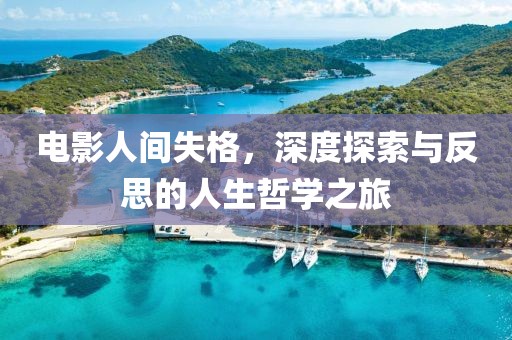 电影人间失格，深度探索与反思的人生哲学之旅