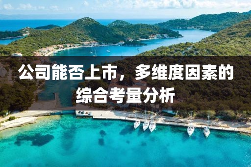 公司能否上市，多维度因素的综合考量分析
