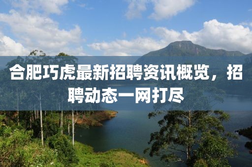 合肥巧虎最新招聘资讯概览，招聘动态一网打尽