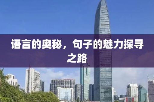 语言的奥秘，句子的魅力探寻之路