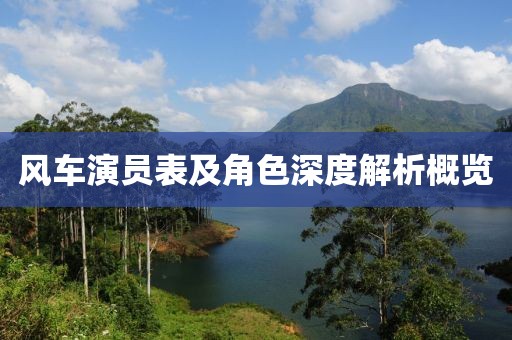 风车演员表及角色深度解析概览