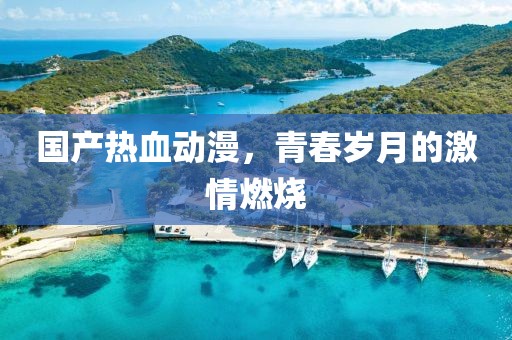 国产热血动漫，青春岁月的激情燃烧