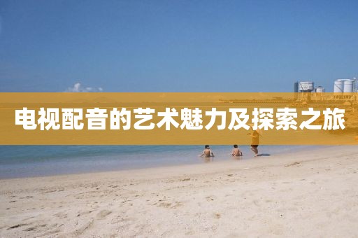 电视配音的艺术魅力及探索之旅