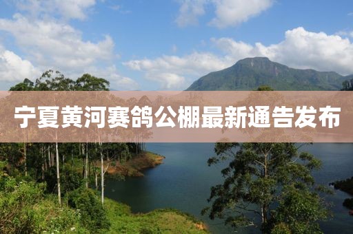 宁夏黄河赛鸽公棚最新通告发布