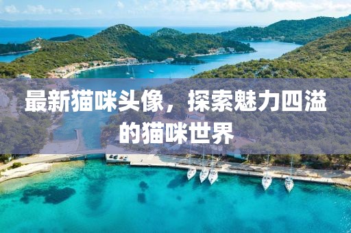 最新猫咪头像，探索魅力四溢的猫咪世界
