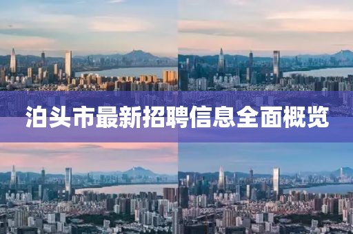 泊头市最新招聘信息全面概览