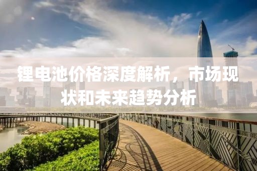 锂电池价格深度解析，市场现状和未来趋势分析