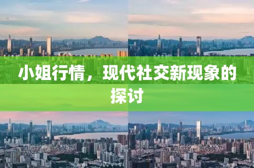 小姐行情，现代社交新现象的探讨