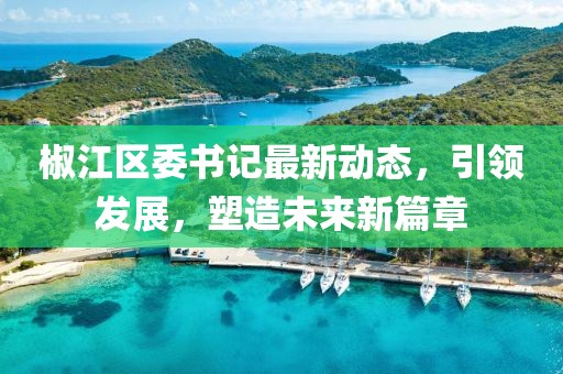 椒江区委书记最新动态，引领发展，塑造未来新篇章