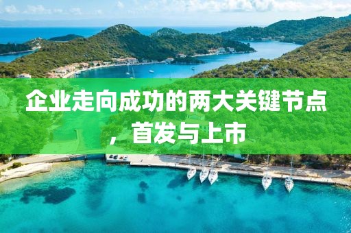 企业走向成功的两大关键节点，首发与上市