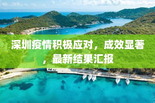深圳疫情积极应对，成效显著，最新结果汇报