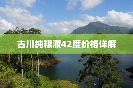 古川纯粮液42度价格详解