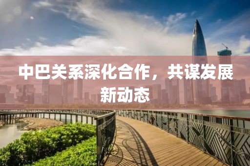 中巴关系深化合作，共谋发展新动态