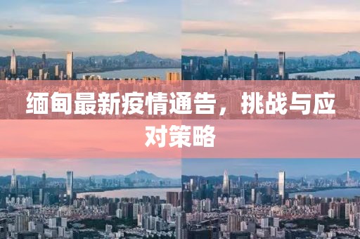 缅甸最新疫情通告，挑战与应对策略