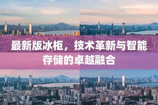 最新版冰柜，技术革新与智能存储的卓越融合