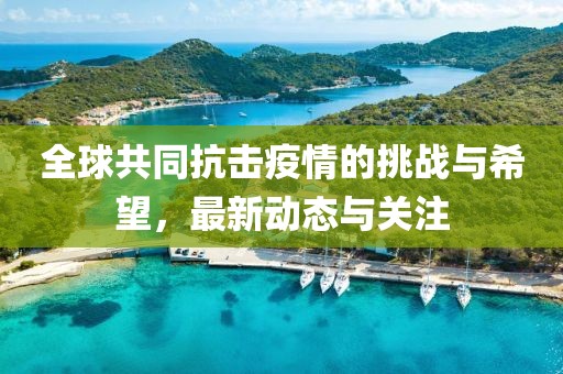 全球共同抗击疫情的挑战与希望，最新动态与关注